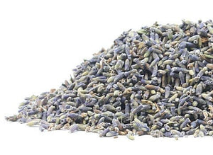 Culinary Lavender - Organic - Lavender Ridge Farms